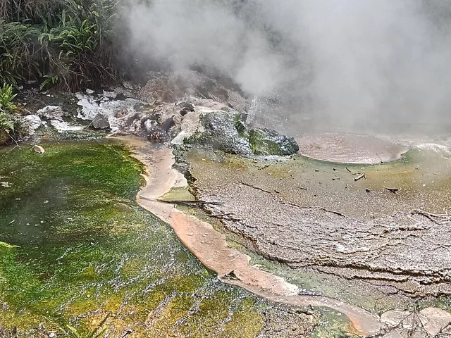 Piscina geotérmica con algas coloridas y vapor ascendente en Waimangu Volcanic Valley